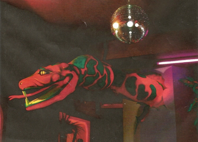 Anaconda in a disco