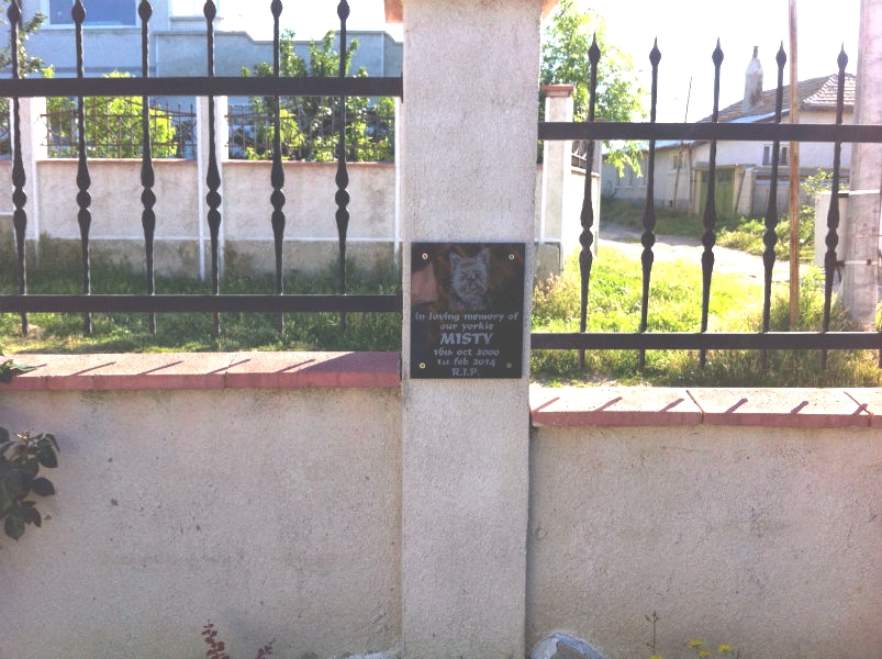 Портрет на женско домашно куче йоркшир териер на име Мисти с надпис отдолу : In loving memory of our yorkie MISTY. RIP.